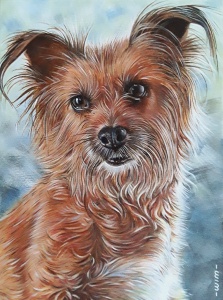 Chico 