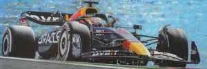 Max Verstappen wereldkampioen 